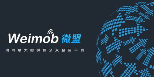 估值20亿，天马股份收购微盟软件和广告业务 趋势解析与行业影响